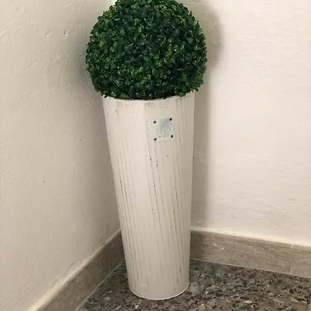 Гостевой дом Domus Alessia Монсеррато