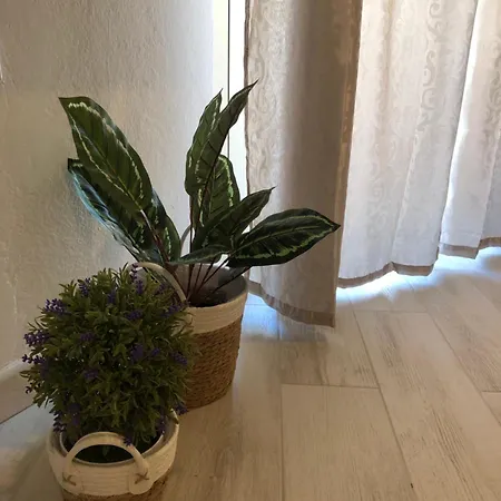 Domus Alessia 3* Монсеррато