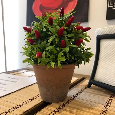 Domus Alessia 3* Монсеррато