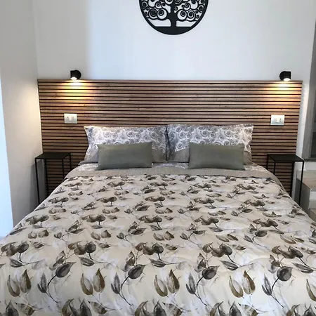 Domus Alessia Guest house