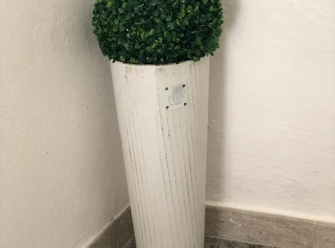 Vendégház Domus Alessia Monserrato