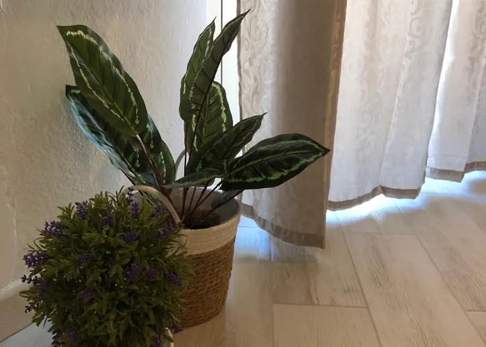 Domus Alessia 3* Monserrato