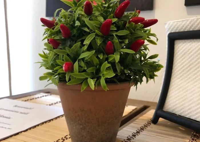 Domus Alessia 3* Monserrato